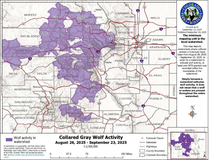Colorado wolf map from CPW shows September activity across mountains