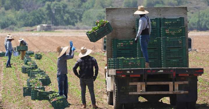 Trump’s immigration policy threatens key sectors of California’s economy, long reliant on immigrant workers