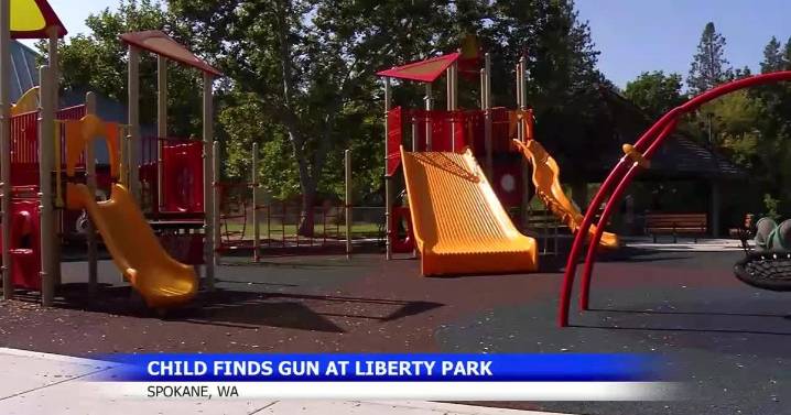 Loaded gun found at Liberty Park, investigation ongoing
