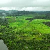 Brazil's Amazon lost area the size of Spain in 40 years: study