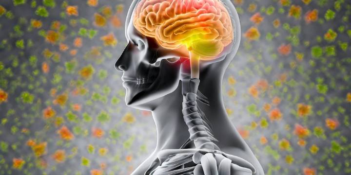Qué dice la ciencia sobre el vínculo entre la contaminación del aire y la enfermedad de Parkinson