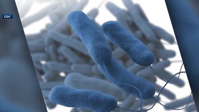 KCCI Investigates: Marshall County cases of Legionnaires' disease rise as hunt for elusive source continues