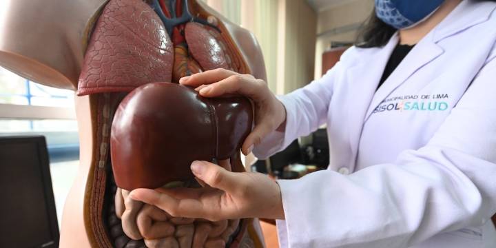 Científicos argentinos descubren que una molécula contra el cáncer da notables resultados contra la hepatitis fulminante