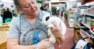 Hop over to Jefferson Feed to meet adoptable bunny rabbits at 'speed dating' event