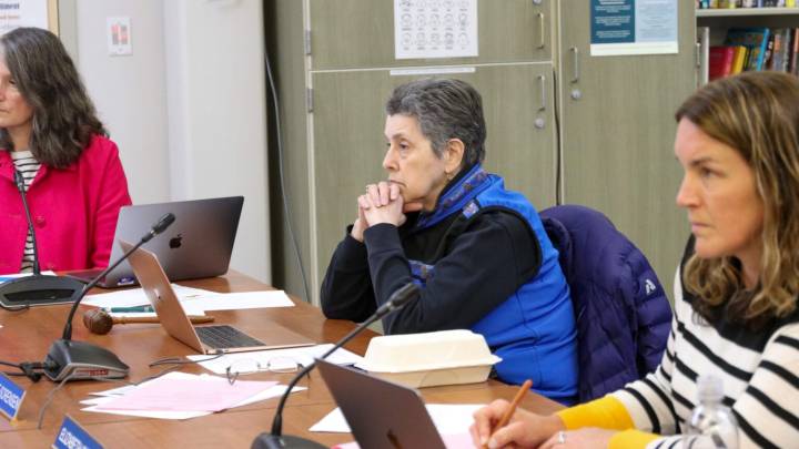 Deedie Sorensen joins Juneau School Board race less than two weeks before Election Day