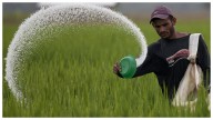 Fertiliser Shortage In Tamil Nadu Forces Farmers To Rely On Expensive Private Traders