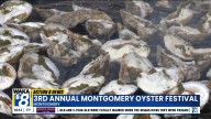 Montgomery Oyster Festival Serves Up Seafood, Music and History