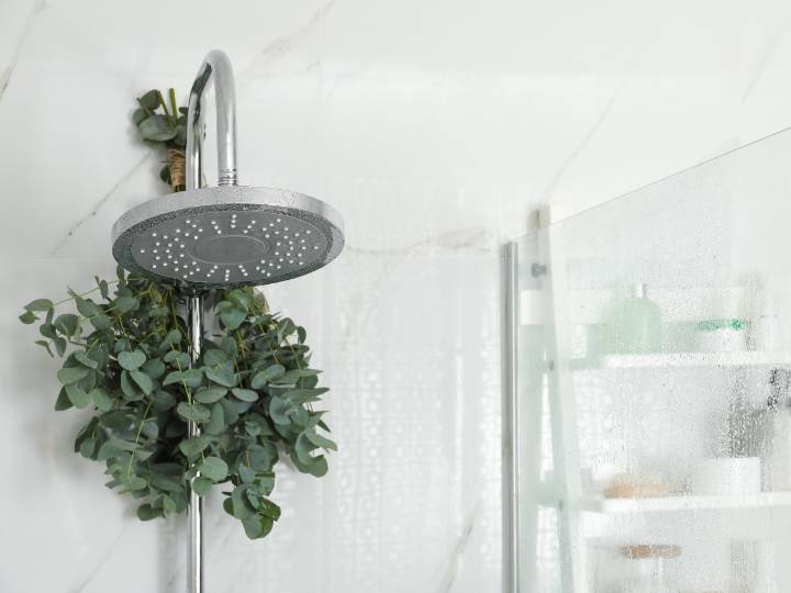 Why I always keep a dish brush in my shower for a spotless clean