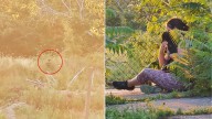 Michigan Team Kept Searching For Days For A Lost Little Dog And Finally Saw Something Familiar