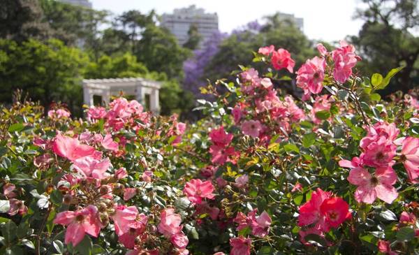 A esta hora empieza la primavera 2025 de manera oficial según el equinoccio
