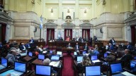 El Senado busca rechazar el veto a la emergencia en discapacidad