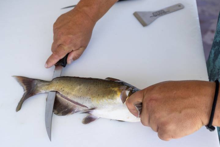 Don’t eat fish from these 4 West Michigan waters