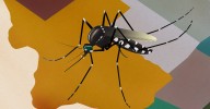 The US is on the verge of a mosquito-borne disease crisis
