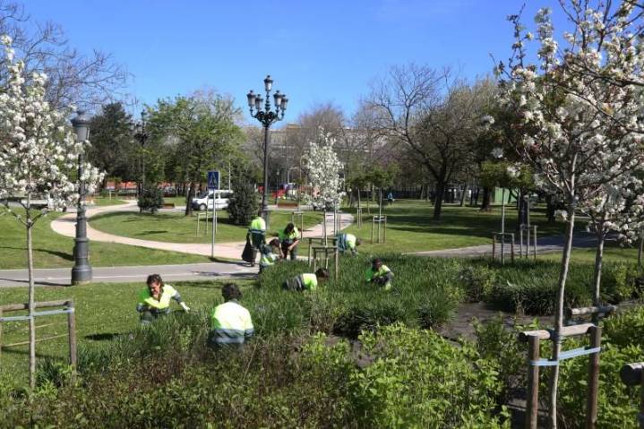 Una jornada para recolectar semillas silvestres en la campiña costera de Santander