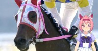 Fallece Haru Urara, el legendario caballo de carreras y símbolo de perseverancia