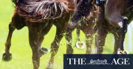 Race-by-race preview and tips for Gundagai on Sunday