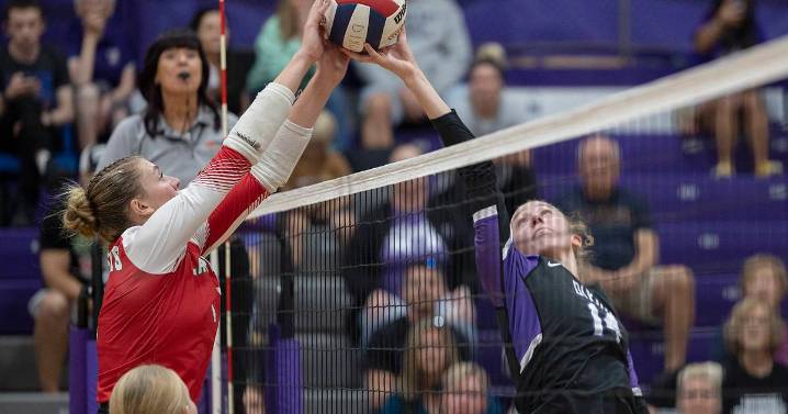 LaSalle-Peru responds to Dixon runs in road win – Shaw Local