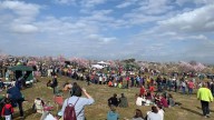 Las fiestas de Garrovillas, Valdefuentes, Cabeza la Vaca y Arroyo ya son de Interés Turístico