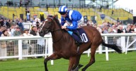 'I tipped 16-1 Kerry National winner – and fancy 66-1 shot on Friday' – Jason Heavey's racing tips