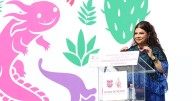 La CDMX destina 582 mdp para basificar a más de 13,000 trabajadores de “Nómina 8”