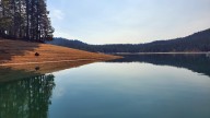 Water in the balance: summer challenges and plans for a more resilient future