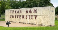 Texas A&M University fires professor amid backlash, political pressure over use of gender identity in children's literature class