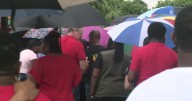 Miami Gardens community holds vigil for woman killed in dog attack; police capture four animals