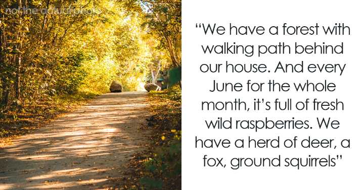 80 Hidden Gems People Discovered After Moving Into Their New Homes