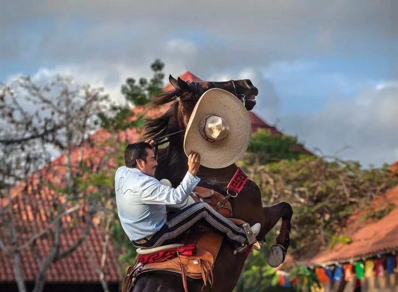 Día Nacional de la Charrería en México: orgullo y tradición viva.