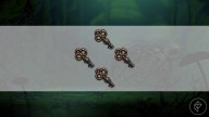All simple key locations in Hollow Knight: Silksong