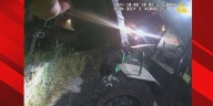 Animal rights group files complaint against ISP, claims ‘inhumane’ response to accident involving 185 calves