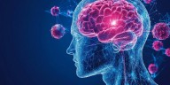 El cerebro ajusta su atención como un zoom, según un estudio