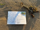 Boy gets reply from Caribbean after sending message in bottle 4,000 miles
