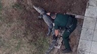 VIDEO: Deputies wrangle gator found outside Florida home