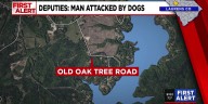Man life flighted after dog attack in Laurens County, deputies say