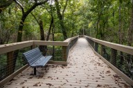 Spring Hammock Preserve features new ADA trail and boardwalk