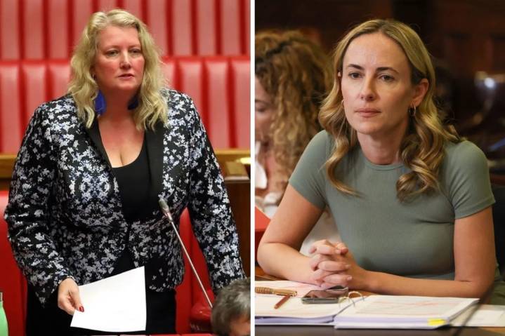 Late-term abortion bill slammed as 'conservative dog whistle' 