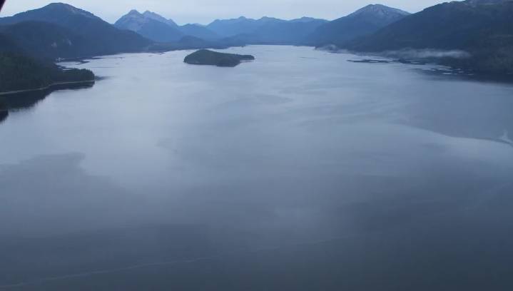 Los científicos hacen un descubrimiento impresionante en la cantón remota de Alaska: “Nos sorprendió”