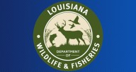 Squirrel and rabbit hunting seasons open Oct. 4 in Louisiana
