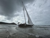 Appeal for information, Cape Bedford (Far North)