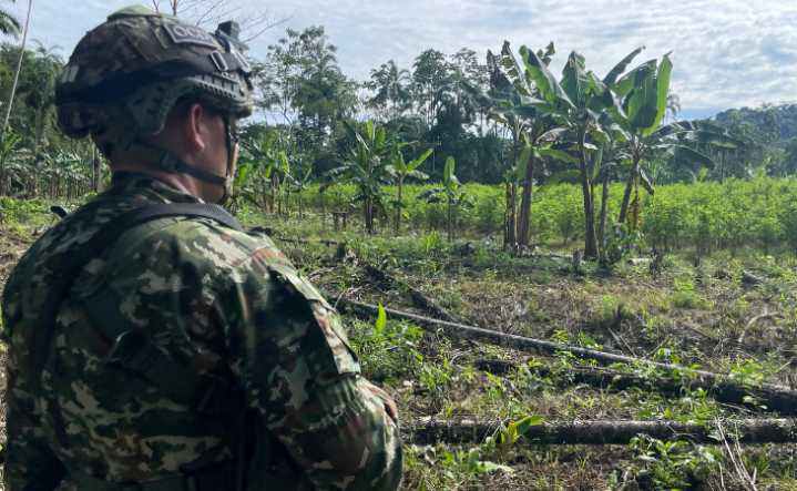 Intento de asonada en Putumayo dejó un civil herido en operativo militar