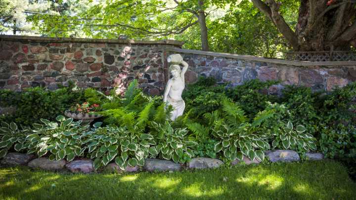 17 Fast-Growing Shade Plants That Will Effortlessly Fill Your Garden With Color