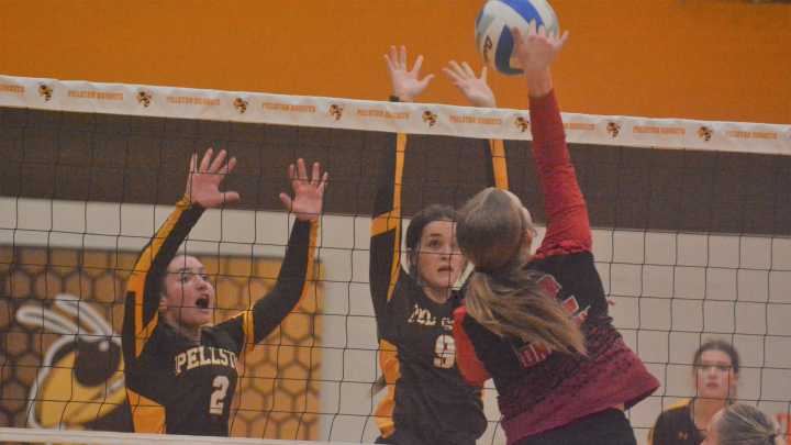 'It's a big win for us': Hornets take down Cardinals in five sets