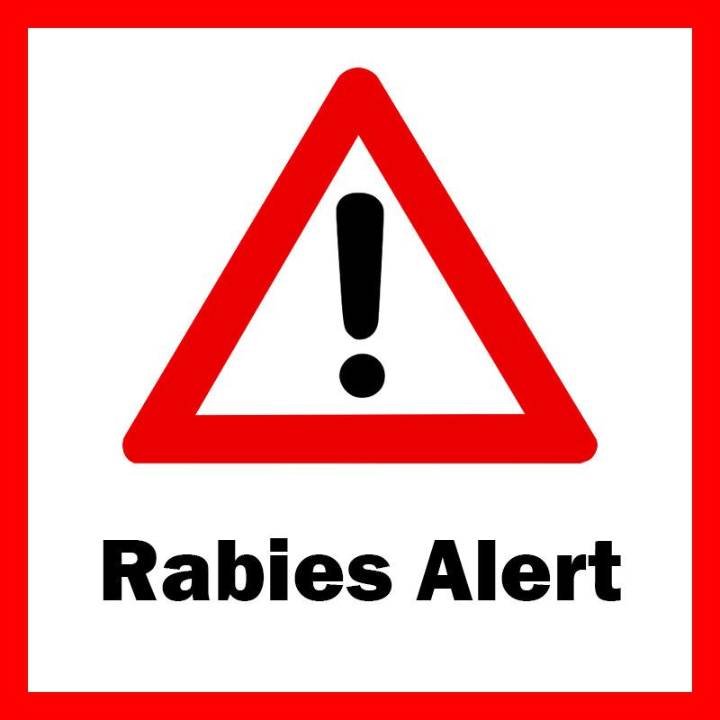 Third positive case of rabies in Sullivan County