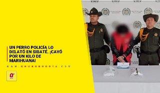 En Sibaté: un perro policía lo delató. ¡Cayó por un kilo de marihuana!