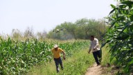 Cadereyta apoya al campo con drones para fumigación agrícola