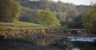 Security may be stepped up at nature reserve after 'regular' fly