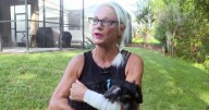Woman Punches Huge Alligator in the Eye to Save Her Puppy Amid Brutal Attack