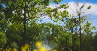 Reabren un parque clave del Conurbano, donde podés pasar un fin de semana en familia y es totalmente gratis