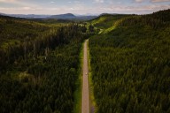 Trump Wants to Open Up 45 Million Acres of Roadless Wilderness to Logging